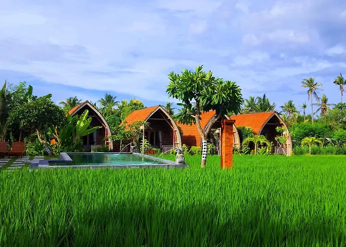 Umma Bali Menjangan Retreat Ferienpark Banyuwedang
