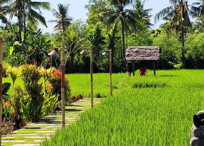 Umma Bali Menjangan Retreat Ferienpark
