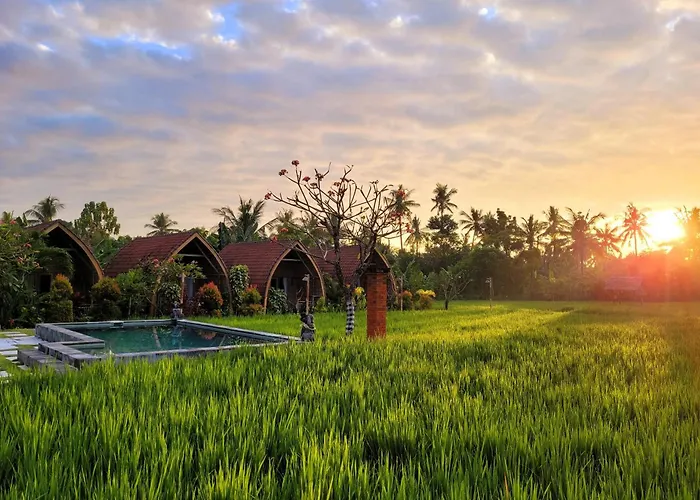 Umma Bali Menjangan Retreat Banyuwedang