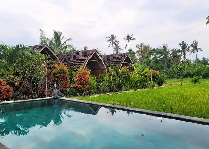 Umma Bali Menjangan Retreat 班尤温当