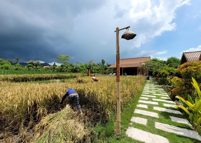 Umma Bali Menjangan Retreat 假日公园 班尤温当