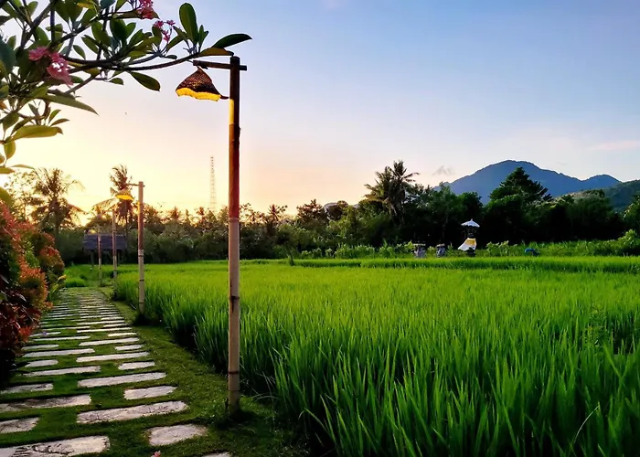 Umma Bali Menjangan Retreat Banyuwedang