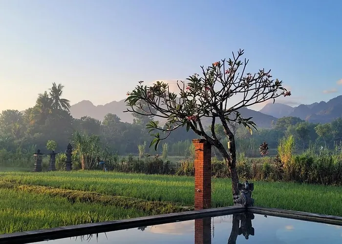 Umma Bali Menjangan Retreat