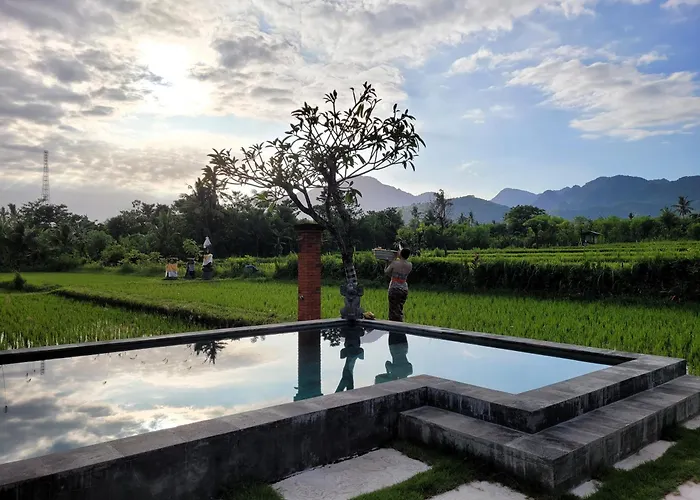 Umma Bali Menjangan Retreat
