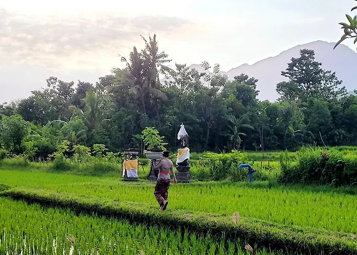 假日公园 Umma Bali Menjangan Retreat