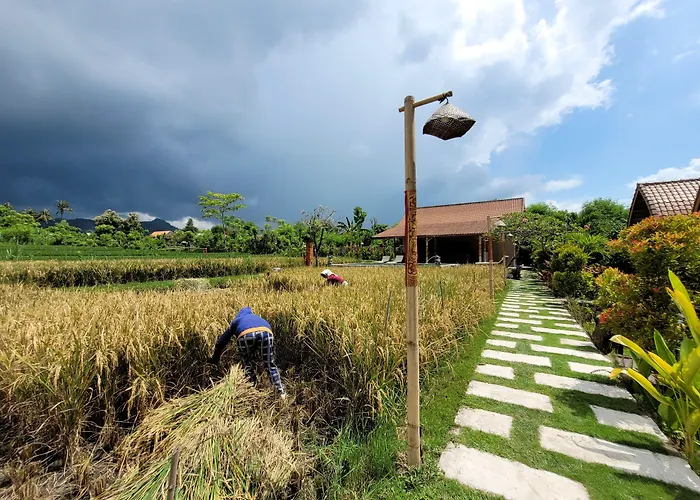 Umma Bali Menjangan Retreat 3* 班尤温当