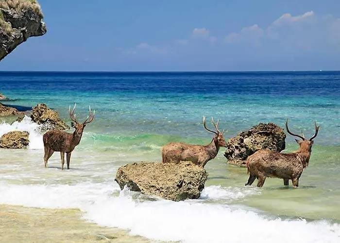 Umma Bali Menjangan Retreat 假日公园 班尤温当